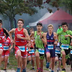 2019.10.06 Greenman Alsace